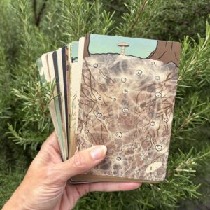 Set veldkaarten van boomvrij papier in een gerecycled zakje met bijbehorend boekje.